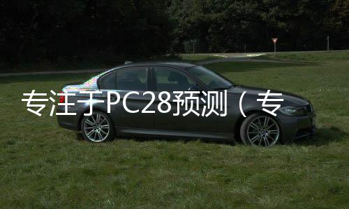 专注于PC28预测(专注pc28预测走势)